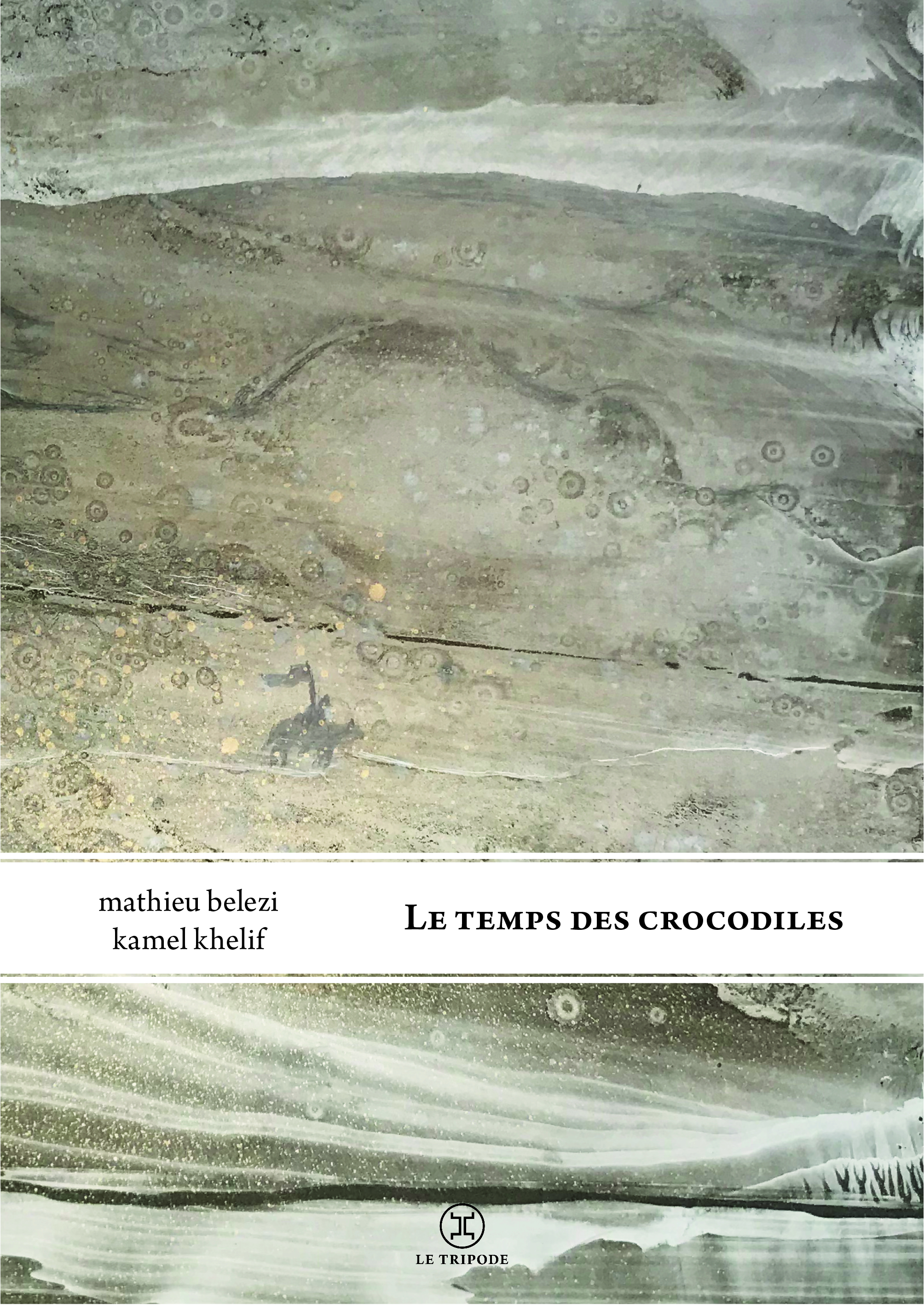 couverture du livre Le Temps des crocodiles